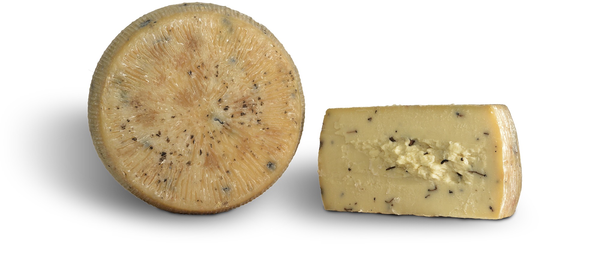Sardomagno-Tartufo