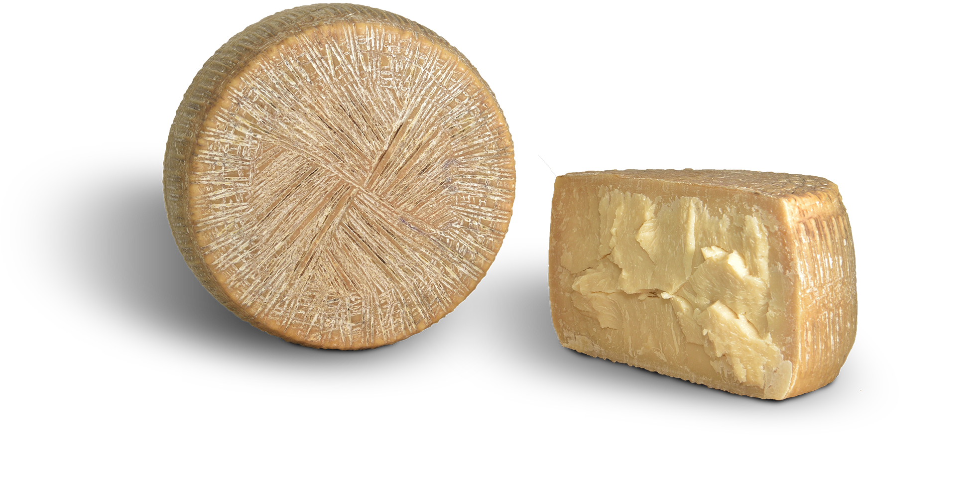 Sardomagno